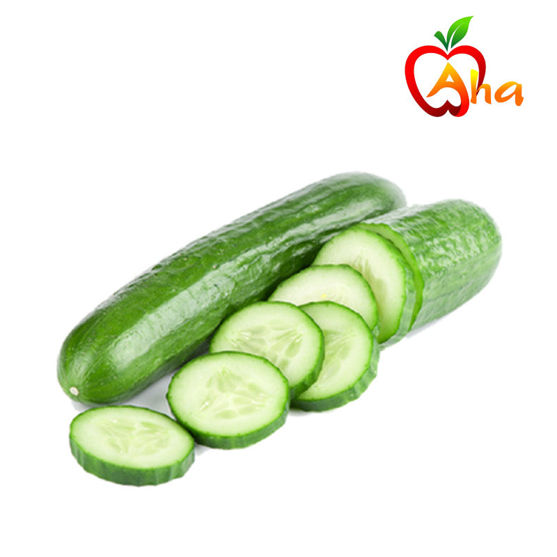 Cucumber