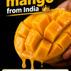 Banginapally Mangoes