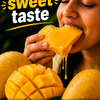 Banginapally Mangoes