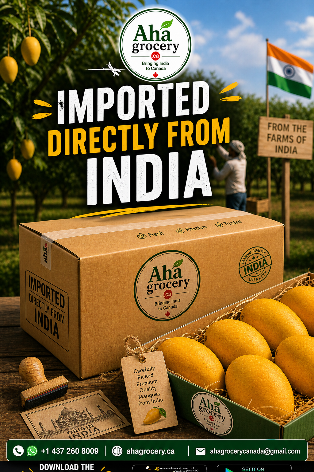 Banginapally Mangoes