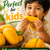 Banginapally Mangoes