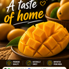 Banginapally Mangoes